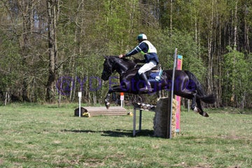 20250406-dsc_2600-standard.jpg