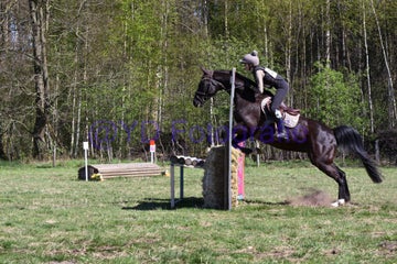 20250406-dsc_2613-standard.jpg