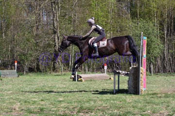 20250406-dsc_2615-standard.jpg