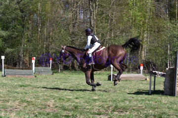 20250406-dsc_2628-standard.jpg