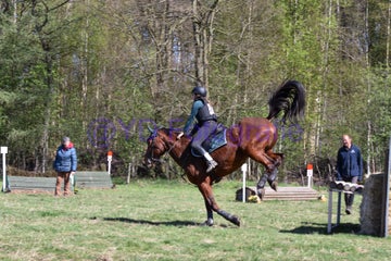 20250406-dsc_2638-standard.jpg