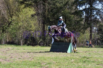 20250406-dsc_2641-standard.jpg