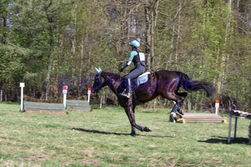 20250406-dsc_2649-standard.jpg