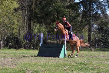 20250406-dsc_2661-standard.jpg