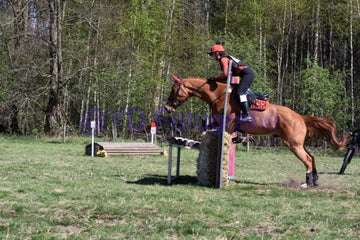 20250406-dsc_2664-standard.jpg