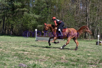 20250406-dsc_2667-standard.jpg
