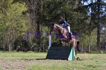20250406-dsc_2670-standard.jpg