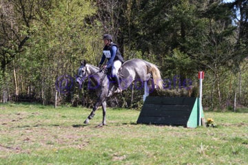 20250406-dsc_2676-standard.jpg