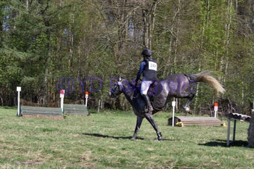 20250406-dsc_2679-standard.jpg