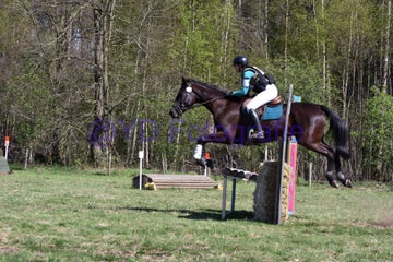 20250406-dsc_2685-standard.jpg