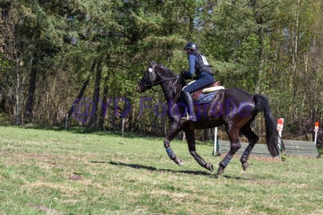 20250406-dsc_2692-standard.jpg