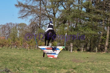 20250406-dsc_2869-standard.jpg