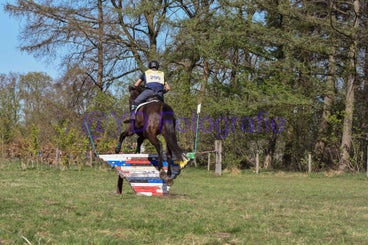20250406-dsc_2920-standard.jpg