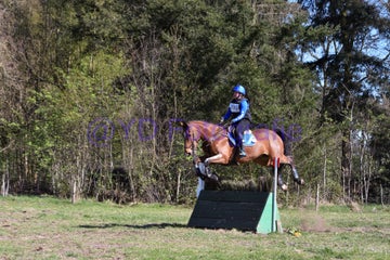 20250406-dsc_2967-standard.jpg