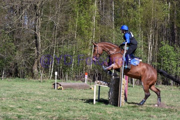 20250406-dsc_2969-standard.jpg