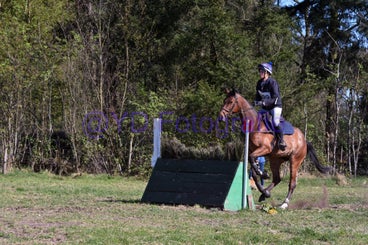20250406-dsc_2973-standard.jpg