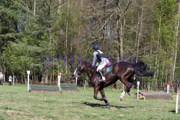 20250406-dsc_3100-standard.jpg