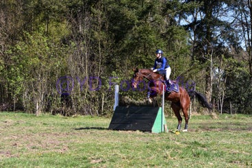 20250406-dsc_3128-standard.jpg