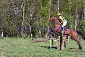 20250406-dsc_3136-standard.jpg