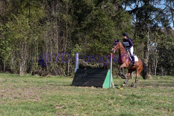 20250406-dsc_3204-standard.jpg