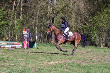 20250406-dsc_3207-standard.jpg
