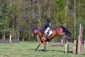 20250406-dsc_3211-standard.jpg