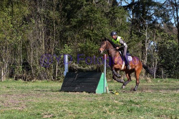 20250406-dsc_3232-standard.jpg