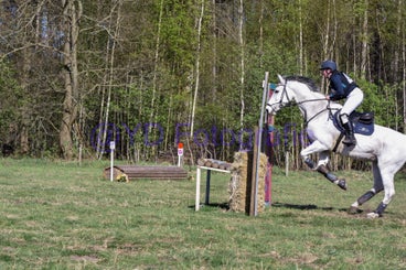 20250406-dsc_3246-standard.jpg