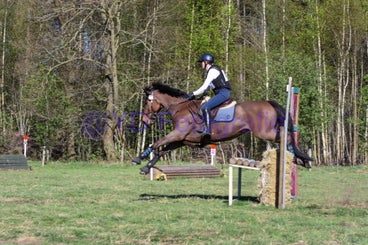 20250406-dsc_3310-standard.jpg