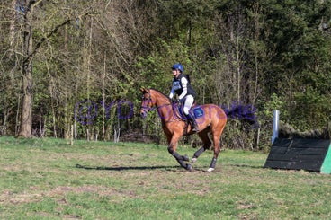 20250406-dsc_3319-standard.jpg