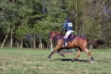 20250406-dsc_3341-standard.jpg