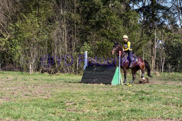 20250406-dsc_3343-standard.jpg