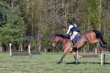 20250406-dsc_3396-standard.jpg
