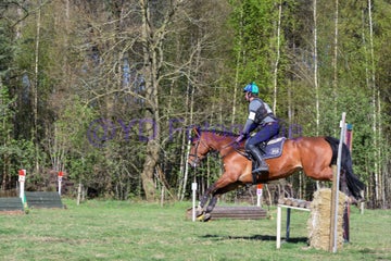 20250406-dsc_3442-standard.jpg