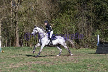 20250406-dsc_3449-standard.jpg