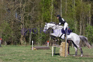 20250406-dsc_3451-standard.jpg