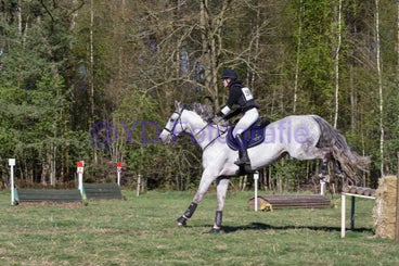20250406-dsc_3453-standard.jpg