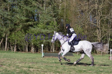 20250406-dsc_3454-standard.jpg