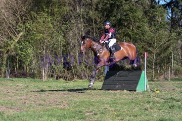 20250406-dsc_3469-standard.jpg