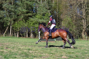 20250406-dsc_3477-standard.jpg