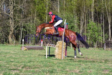 20250406-dsc_3485-standard.jpg