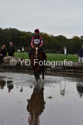 dsc_0806-standard-n9b0ww.jpg