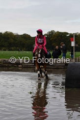 dsc_0967-standard-2rilxe.jpg