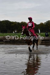 dsc_0974-standard-ojq4o8.jpg