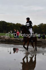 dsc_1012-standard-vhps66.jpg