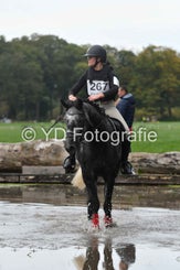 dsc_1036-standard-r7fupq.jpg