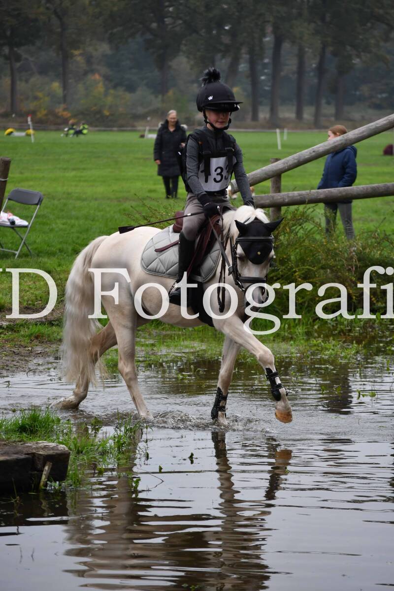 dsc_1105-standard-lbht80.jpg