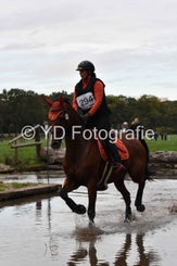 dsc_1367-standard-f3votq.jpg