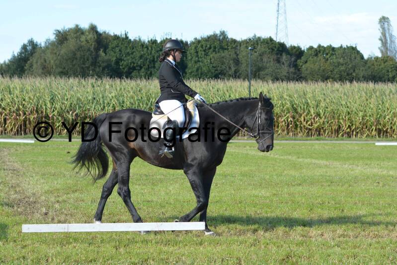 dsc_2108-standard-iea61r.jpg