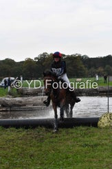 dsc_2461-standard-kr34w4.jpg